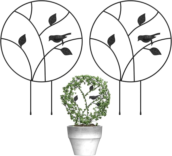 Indoor Plant Trellis for Climbing Plants, Small Garden Trellis for Potted Plant Support Outdoor, Round Circle Trellis with Bird, 2 Pack Small Houseplant Metal Wire Trellis for Vine Ivy