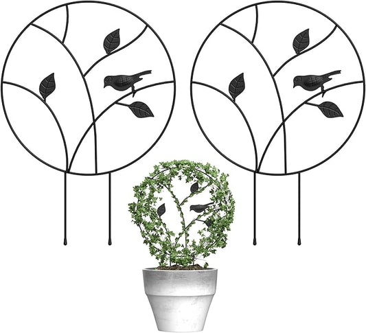 Indoor Plant Trellis for Climbing Plants, Small Garden Trellis for Potted Plant Support Outdoor, Round Circle Trellis with Bird, 2 Pack Small Houseplant Metal Wire Trellis for Vine Ivy