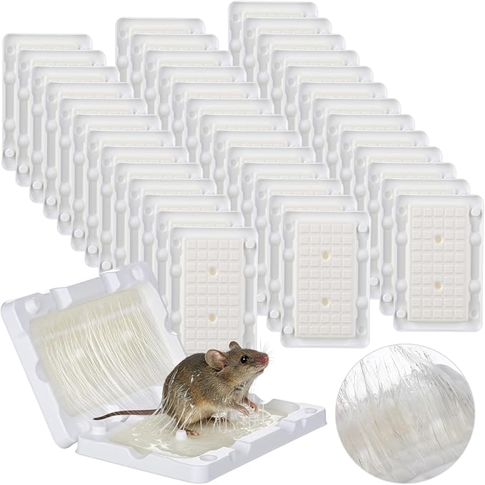 Qualirey 40 Pcs Baited Mouse Glue Traps Indoor for Home Adhesive Plastic Sticky Rat Traps Pads Bulk for House Pest Mice Rats Indoor Outdoor, Simple and Easy to Use (White)
