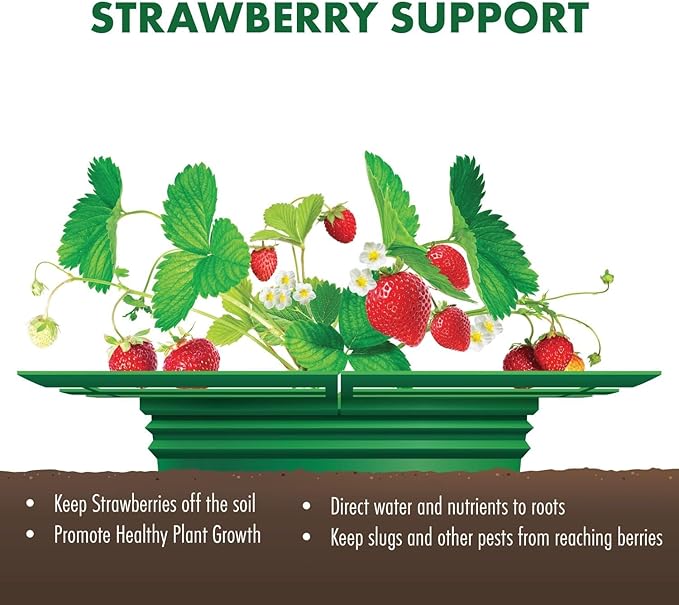 Strawberry Plant Support Frame, Round 12 inches, Perfect for Keeping Berries Off The Ground, Made in The USA - Pack of 4
