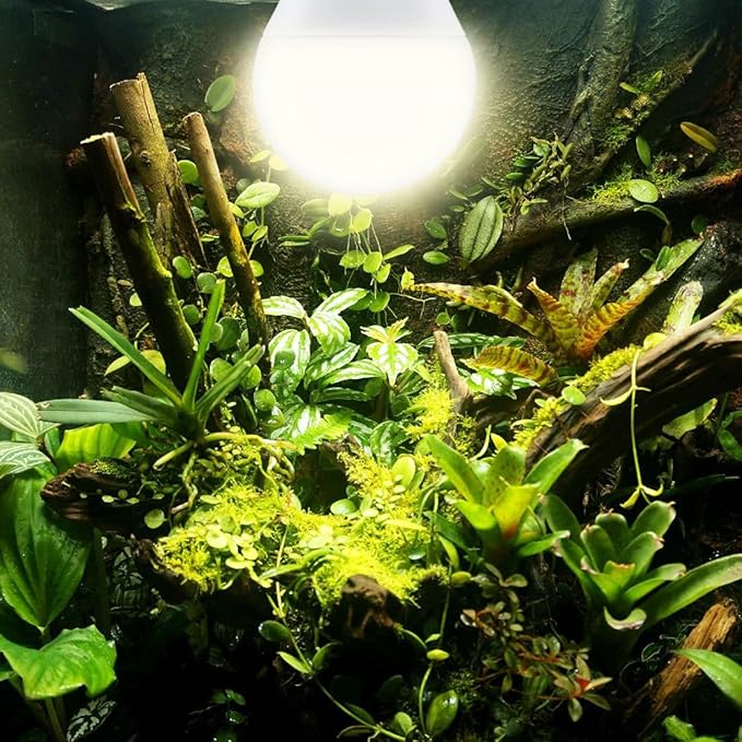 Grow Light Bulbs for Indoor Plants, Full Spectrum Grow Light Bulb, 11W LED Growing Plant Light Bulb for Seed Starting, Hydroponics, Vegetable, Flowers, Greenhouse, 100W Equivalent, A19, E26, Pack of 6