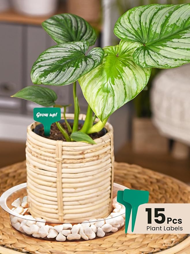 GROWNEER 15 Packs 10 Inches Clear Plant Saucers Flower Pot Trays, with 15 Pcs Plant Labels, Plastic Plant Saucer Drip Trays for Indoor Outdoor Plants Garden
