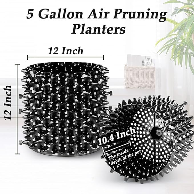 Air Pruning Planters 5 Gallon 6-Pack, Sturdy Plastic Roots Control Planter Container for Fruit Vegetable Garden Orchard, Size 12"x12",Black
