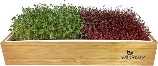 Self Watering Microgreens Growing Kit. Hands Down The Easiest Way to Grow Microgreens. Includes Tray, Seeds, Mats, and Bamboo Surround. Great Gift for Gardeners