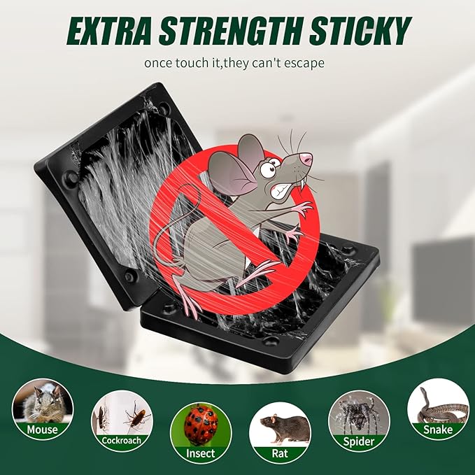 Qualirey 40 Pcs Baited Mouse Glue Traps Indoor for Home Adhesive Plastic Sticky Rat Traps Pads Bulk for House Pest Mice Rats Indoor Outdoor, Simple and Easy to Use (Black)