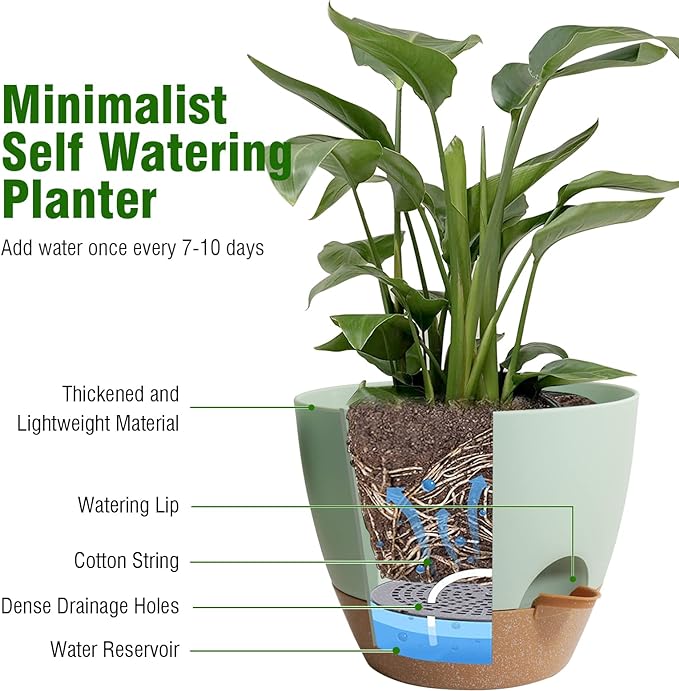 10 inch Self Watering Pots, 2 Pack Plastic Planters with Mesh Drainage Holes for Garden Plants and Flower, Plants Pots with Deep Reservoir for Indoor Outdoor Plants, Green with Brown