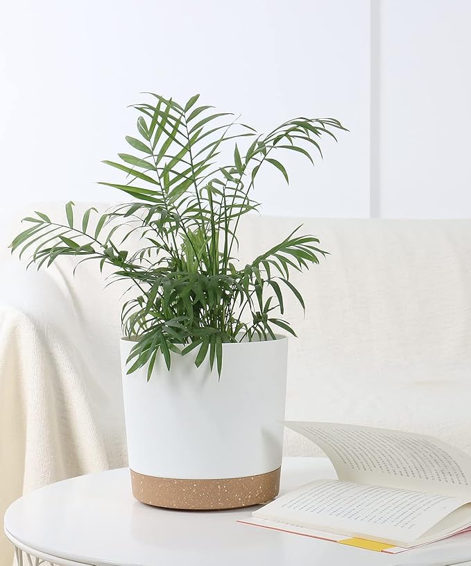 kubvici 8'' Plastic Flower Planter Pots Set of 2 Indoor Outdoor Planters with Drainage Saucer for Garden Home (Green & White, 8 inch)