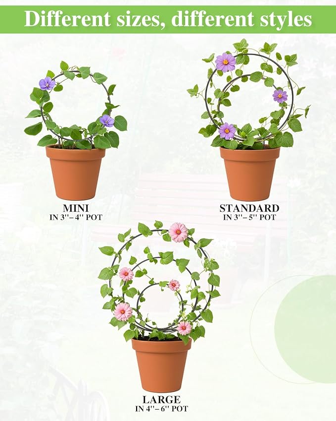 3 Pcs Different Sizes Metal Hoya Trellis, Small Round Indoor Plant Trellis for Potted Plants Climbing, Black Unique Houseplant Trellis for Vine Ivy Flower Plant Support