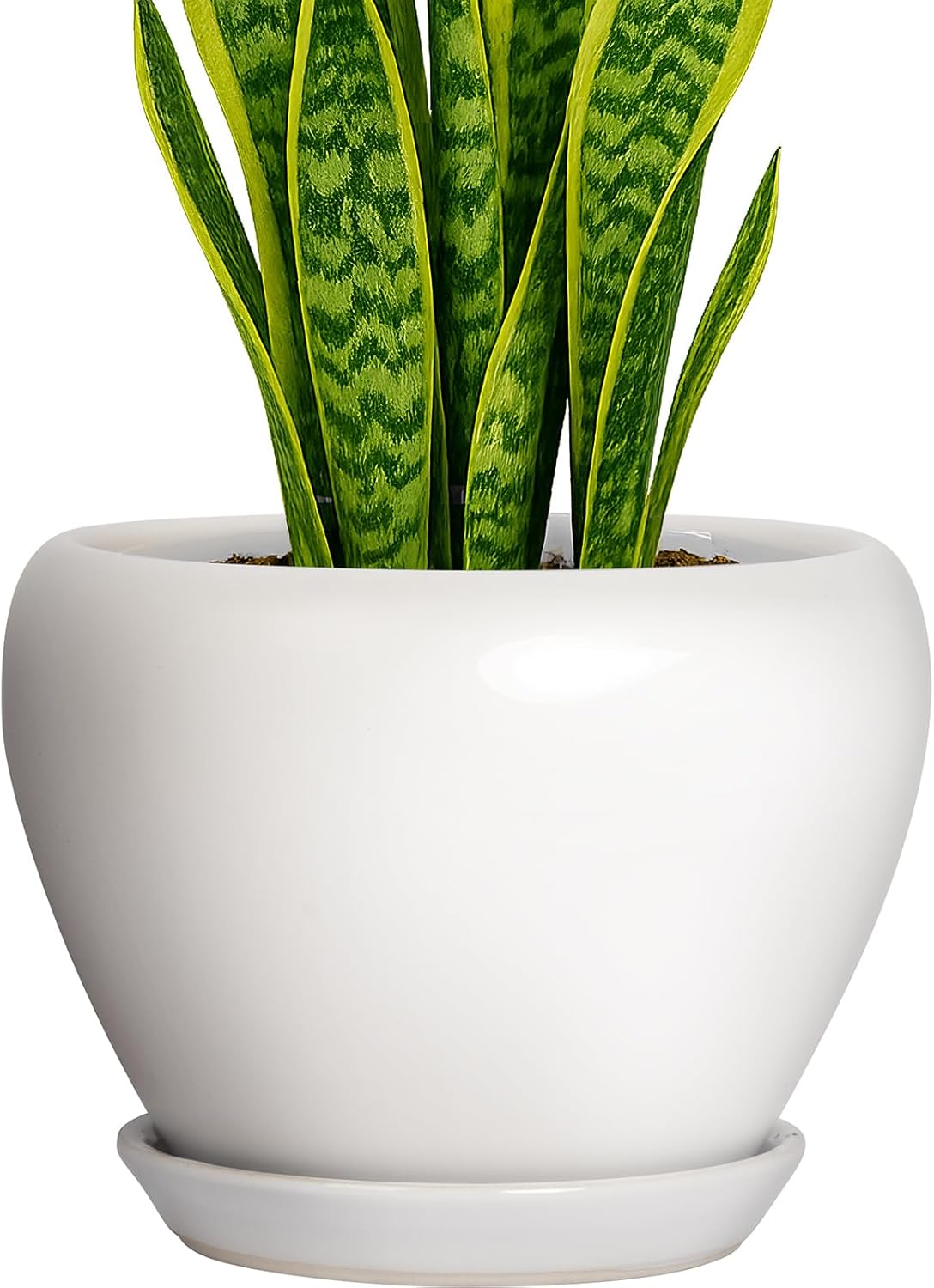 Deep Dream 8 Inch Plant Pot - Ceramic Planter with Drainage Hole and Trays, Modern Round Flower Pot, Planters for Indoor Outdoor Plants, Home Garden Decor, White
