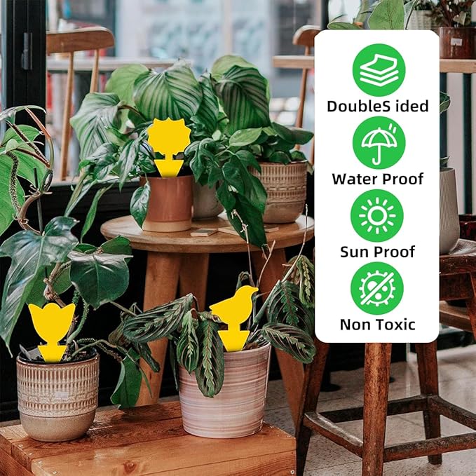 72 Pcs Classic Sticky Traps for Fungus Gnat (Plants), Flying Insect, Whitefly and Fly, Yellow Sticky Insect Catcher Traps for Indoor/Outdoor, Kitchen, and Plants, High-End Glue, Non-Toxic, 4 Shapes