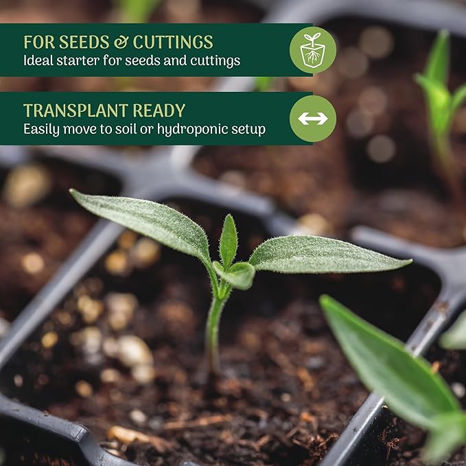 50-Pack Seed Starter Plug for Seedlings and Cuttings, Growth Sponge for Fast Germination and Strong Roots with Soil or Hydroponic Applications