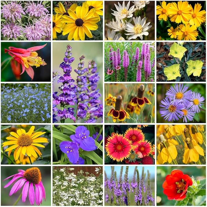 Park Seed Grow Your Own Vibrant Perennial Wildflower Garden Seeds Mixture, Easy to Grow Varieties for Pollinators and Spring Gardens - Native Perennial Mix, 10 lbs