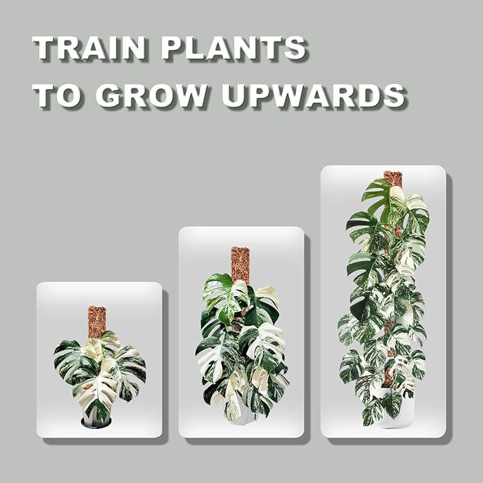 D Shape Sphagnum Moss Pole for Climbing Plants - 6 Pcs 17 Inch Plastic Stackable Plant Support, Designed for Monstera & Indoor Plants with Enhanced Stability