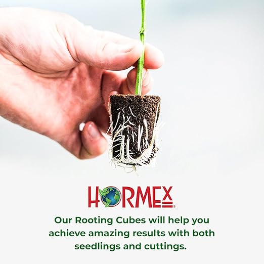 Hormex Rooting Powder #8, Grow Cubes, Shears Combo - Rooting Hormone for Semi-Hardwood Plants & Medicinal Cuttings | Root Starter Cubes for Cloning Plants | Precision Straight-Blade Shears (50 Plugs)