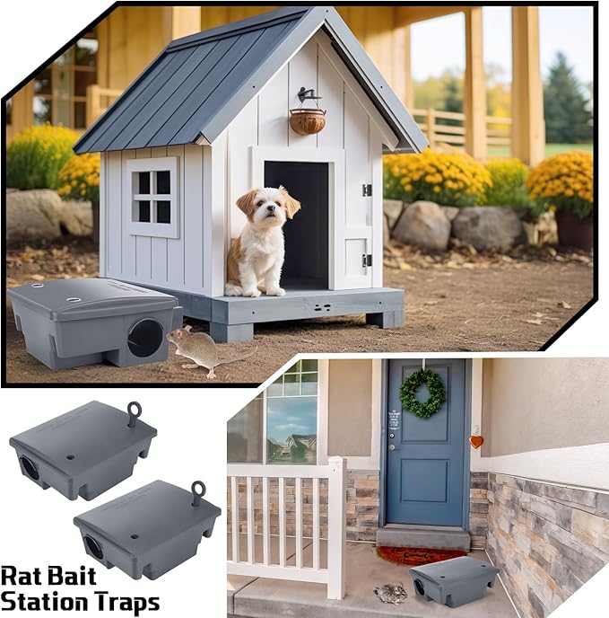 Qualirey 12 Packs Rat Bait Station Box Outdoor Rodent Rat Traps with Key Mouse Bait Station Indoor Mice Box for Outdoor Use Keeping Pets and Children Safe (Grey)