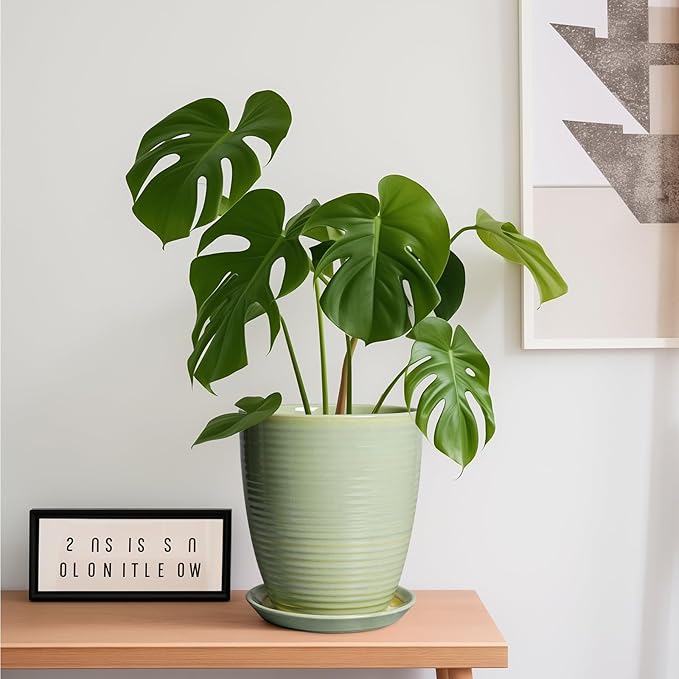 Ceramic Pots for Plants - Modern Round 8 Inch Planter with Drainage Hole and Plant Saucer for Flower Indoor Outdoor, Home Decor, House Warming Gifts, Green