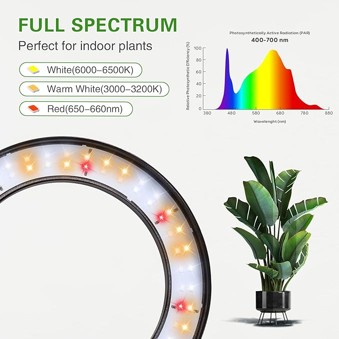 Full Spectrum Grow Light with Stand for Indoor Plants, Floor Plant Light, 3/9/12H Timer, 3 Color Modes, Adjustable Height 16.5–67in, for Large Plants & Home Décor(2 Heads)