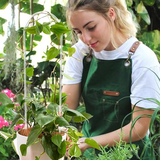 2 Pack U-Shaped Clear Acrylic Trellis for Indoor Plants, Small Plant Trellis for Potted Plants Climbing Plants, Plant Support Hoya Trellis for Vine Ivy Hoya Indoor Outdoor