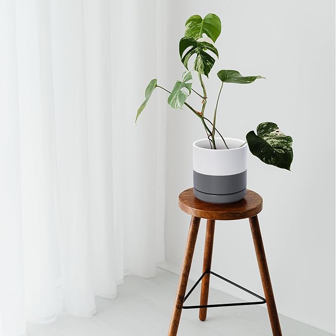 D'vine Dev 3 Inch & 4 Inch & 6 Inch, Set of 3 Round Ceramic Planter Pot with Drainage Hole and Saucer, White/Speckled Grey, 94-T-S-6