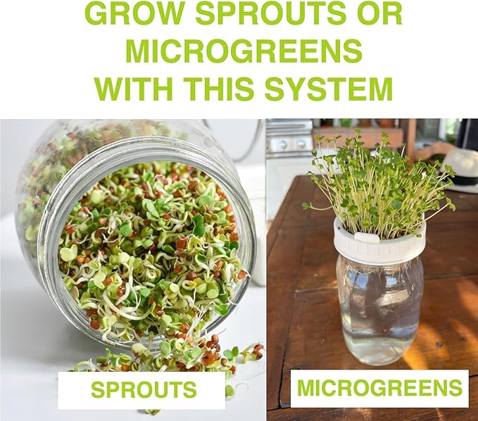 Premium Sprouts Growing Kit & Green Onion Regrower with 2 Mason Jars & Superior Sprout lids. Perfect Sprouter Set for Growing Broccoli, Alfalfa & Beans.