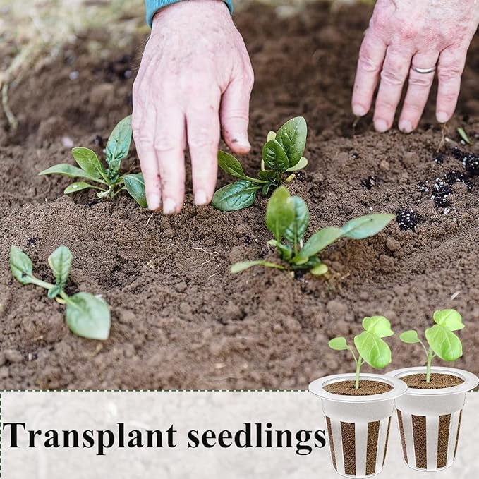 40 Pcs Hydroponic Seeds Grow Sponges Pods Kit,Indoor Hydroponics Growing System Root Plant Basket,Hydroponic Pods Cups Pot and Grow Sponges for Garden Indoor Herb Hydroponic Growing System