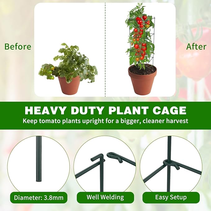 6 Packs Tomato Cages for Garden, 12"×12"×39" Plant Support Cage with Different Spacing, Green Metal Trellis for Climbing Plants Like Cucumber, Flowers