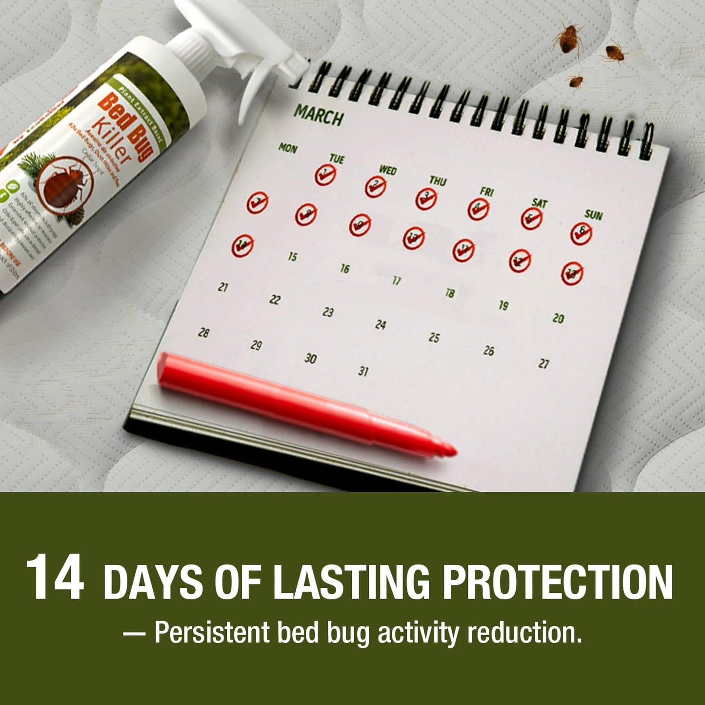 EcoVenger (Formerly EcoRaider) Bed Bug Killer with Remote Sprayer 1Gal - Kills 100% All Stages on Contact- Kills Resistant Bugs- Kills Eggs- 14 Day Residual Protection- Non-toxic- Child & Pet Friendly