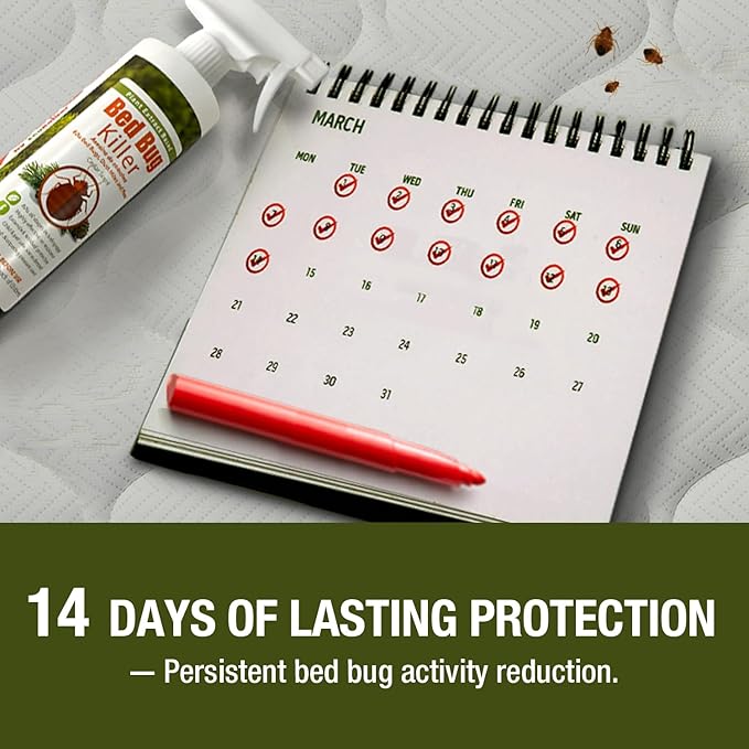 EcoRaider Bed Bug Killer Spray 1 Gallon Jug, Green + Non-Toxic, 100% Kill + Extended Protection