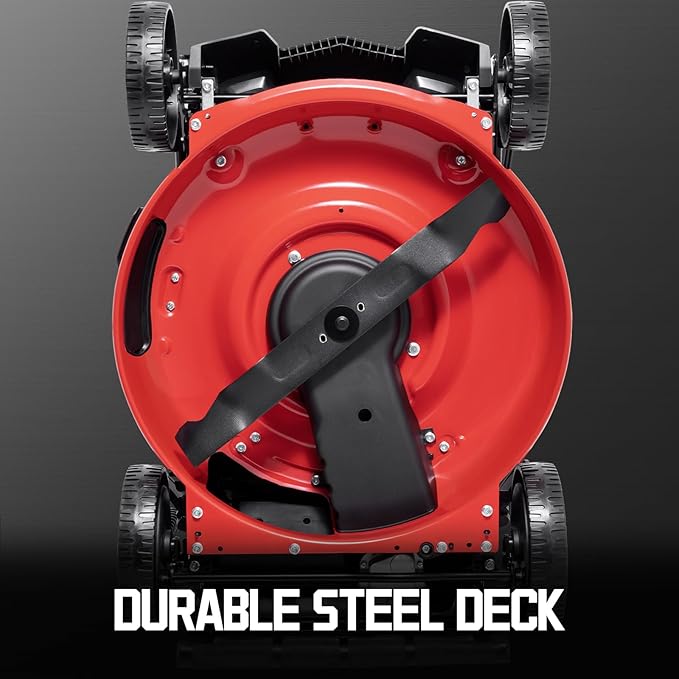 PowerSmart 21 in. Gas Lawn Mower with 140cc Briggs and Stratton E550 Engine, Push Mower with Mulch, Side-Discharg, Bagger, 6-Positions Adjustable Cutting Height