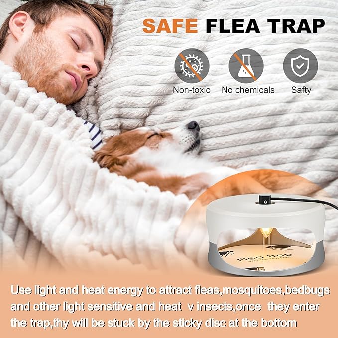 Qualirey 6 Pack Flea Traps with Sticky Disc Bulbs Flea Traps for Inside Your Home Flea Light Trap for Indoor Safe to Pets (White Gray)