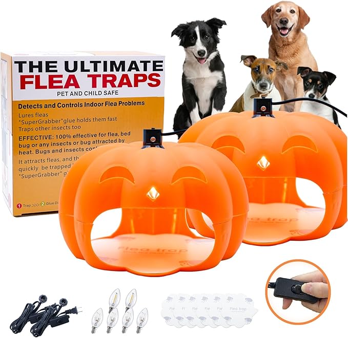 Flea Traps for Inside Your Home, 2 Packs Indoor Flea Killer Trap with Light & Switch Safe for Kid & Pet, Pest Control Trapper House Insect Killer Bed Bug Trap, Pumpkin