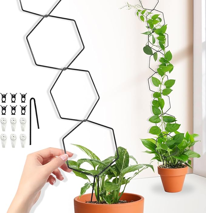 Chain Trellis for Climbing Plants, Hexagonal Metal Plant Support, DIY Installation, Indoor and Outdoor Use for Monstera and Ivy