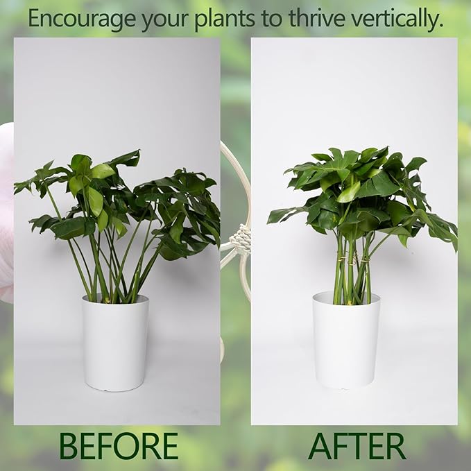 5PCS Monstera Plant Stem Support Stakes - 5.5 * 5.5IN Metal Supports for Monstera and Fishbone Cactus, Sturdy Frame, Easy Installation, Flexible Protection for Healthy Growth Indoors