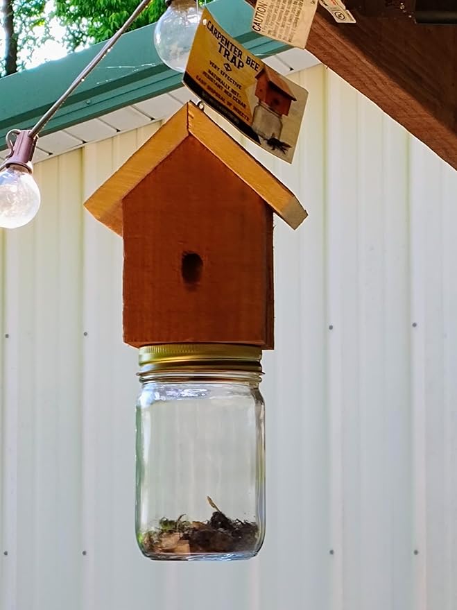 Amish Made Rustic Carpenter Bee Catching Device 2 Pack
