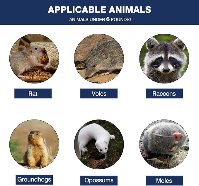 Animal Trap Cage, 24 Inch Live Traps for Raccoons Heavy Duty, Cat Trap for Stray Cats, Squirrels, Raccoon, Rabbits, Possum, Skunk, Outdoor Small Animal, Humane Catch & Release, Foldable