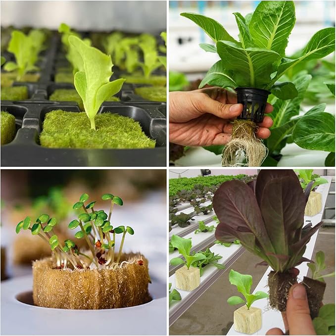 Legigo 1.5 Inch Rockwool Cubes for Hydroponics Seed Starter, Rock Wool Planting Cubes Hydroponic Garden Grow Plugs for Soilless Cultivation Plants Cutting Germination Clone(2 Sheet, 98 Plugs)
