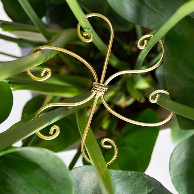 6.5IN Monstera Plant Support Hook 5PCS Durable Stem Stabilizer for Indoor Plants | Easy Setup 5-Piece Set Ideal for Turtle Shell Leaf Support Ideal Present for Plant Lovers & Home Garden Décor