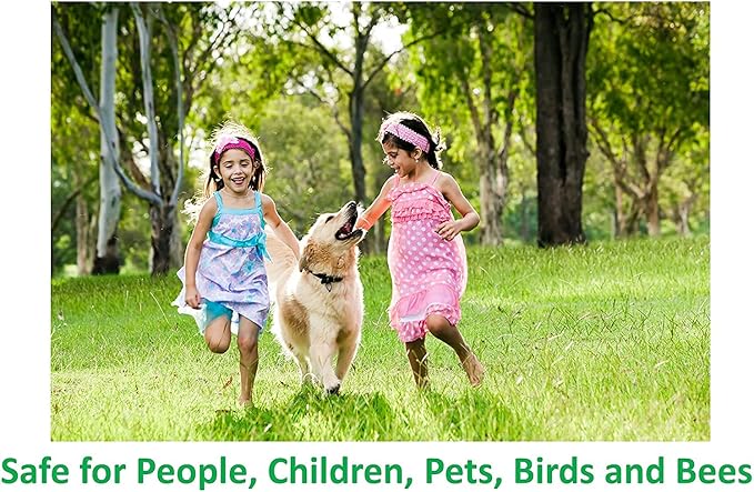 Deepthi Pure Neem Oil for Plants – 16.9 Fl Oz (500 ml) – Cold Pressed Natural Garden Spray – Kills Aphids, Mites, Caterpillars, Beetles – Insecticide & Fungicide for Indoor Outdoor Use