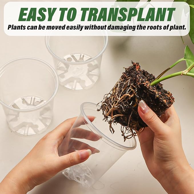 3.5" Clear Seeding Pots 20 Pack Round for Seeds Starter Pot, Seeds Germination Transparent Nursery Pots with Drainage Holes (Clear,3.5Inch,20PCS)