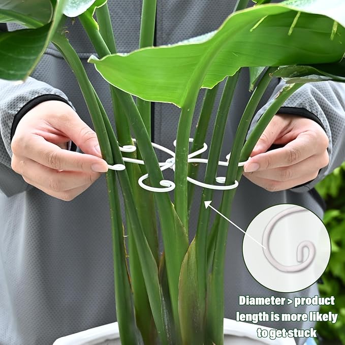 5PCS Monstera Plant Support Hook - 5.5x5.5 inch Premium Indoor Stem Stabilizer for Monstera & Fishbone Cactus, Durable,Easy Installation, Gentle Protection for Healthy Plant Growth