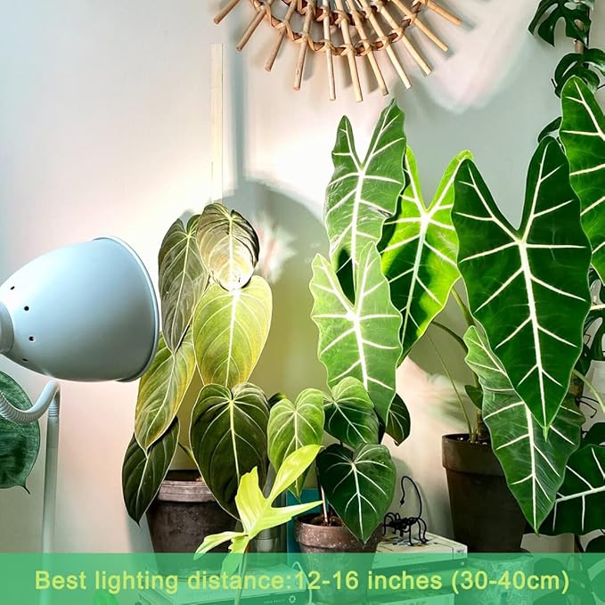 Grow Light Bulbs for Indoor Plants, Full Spectrum Grow Light Bulb, 11W LED Growing Plant Light Bulb for Seed Starting, Hydroponics, Vegetable, Flowers, Greenhouse, 100W Equivalent, A19, E26, Pack of 6