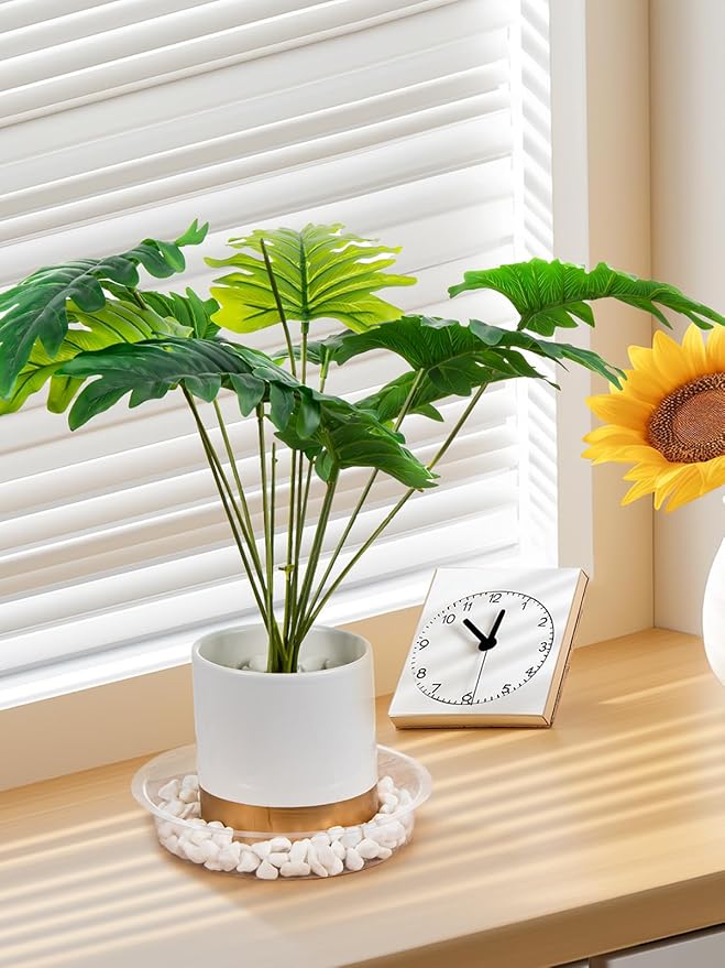 GROWNEER 15 Packs 10 Inches Clear Plant Saucers Flower Pot Trays, with 15 Pcs Plant Labels, Plastic Plant Saucer Drip Trays for Indoor Outdoor Plants Garden