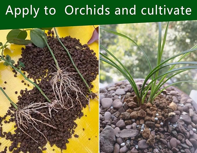 Gardening Akadama Soil - Cactus, Bonsai, Succulent Soil Additives Landscaping Vase Fillings (1/4 inch, 10 QT)