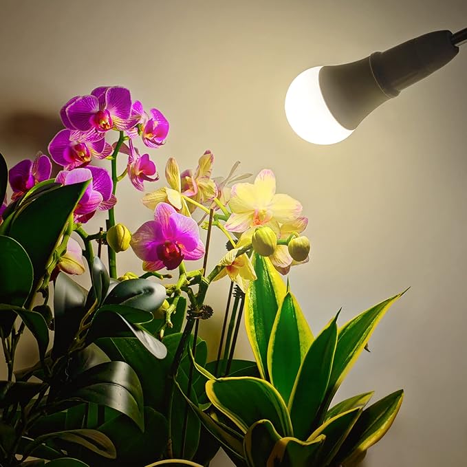 LED Grow Light Bulbs, Full Spectrum - A19, E26 Base, 11W (100W Equivalent), 4 Pack for Indoor Plants, Flowers, Greenhouse