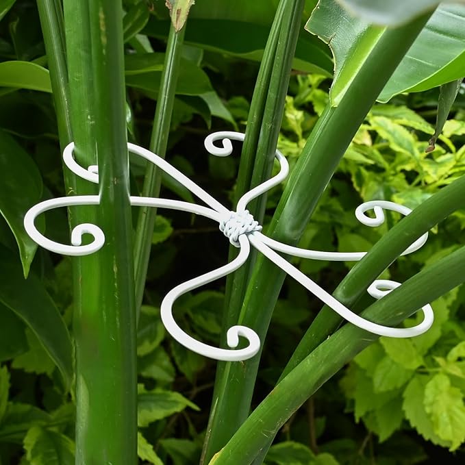 6.5 * 6.5in Monstera Plant Support Hook 5PCS - Durable Stabilizer & Leaf Holder for Indoor Plants, Flexible Installation & Soft Grip Design - Perfect for Fishbone Cactus and Other Houseplants
