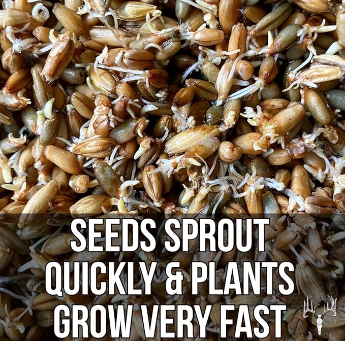 Mother Fodder Blend, 12LB EcoPack, Grain Seeds for Bird Food & Growing Fresh Green Grass Sprouts to Feed Pet Rabbits, Cows, Horse, Chicken, Goat, Sheep, Quail, Dog, Cat, Duck & Tortoise