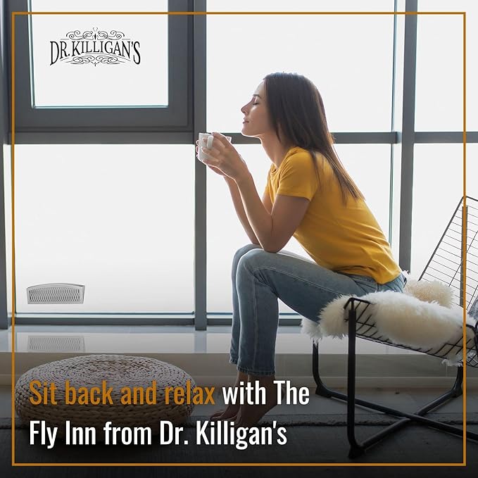 Dr. Killigan's The Fly Inn | Sticky Window Traps | Indoor Insect Trap | Catches and Hides Bugs | Better Than Fly Paper or Ribbon | Get Rid of Flies | (2+4, Gray)