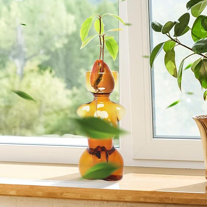 Propagation Vases for Plants Plant Propagation Jars Unique Body Avocado Vase Glass Planter Perfect for Seed Starting Water Rooting and Home Decor Gift for Father