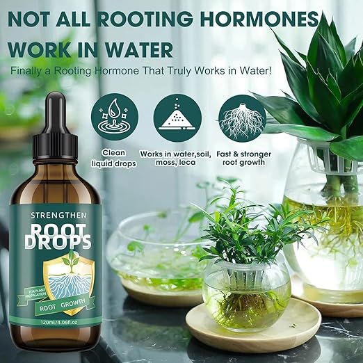 Root Drops – Liquid IBA Rooting Hormone for Cuttings | Speeds Up Propagation | Works in Water, Soil, Moss, LECA | for Indoor Houseplants Like Pothos, Monstera (4 oz)