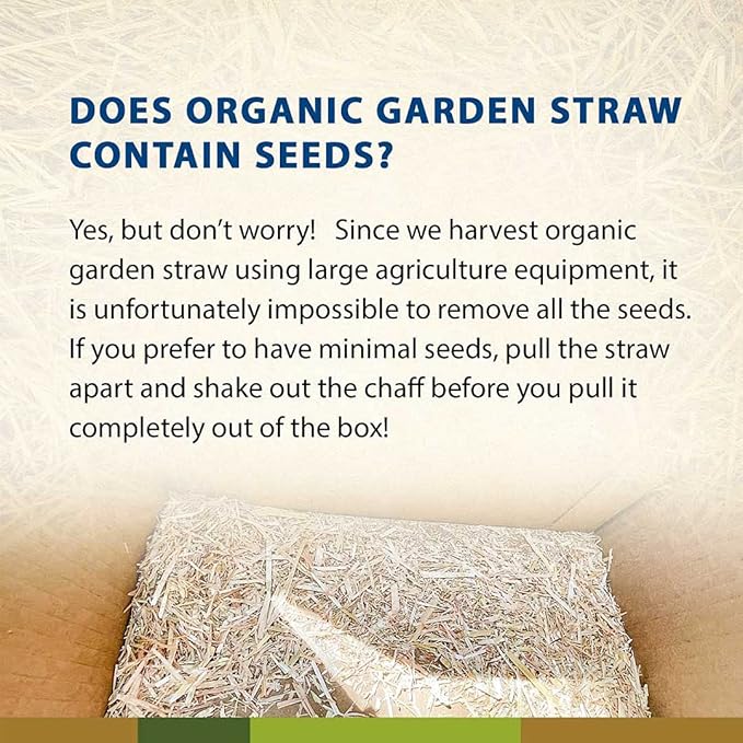 Blue Mountain Hay | Organic Garden Straw (25 lb) | Natural Mulch for Gardening, Flower Beds, Yard Landscaping, New Lawn Grass Seeding, Composting | Covers up to 375 sq ft